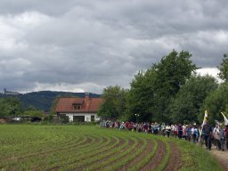 2014