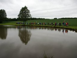 2014