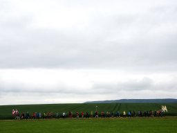 2014