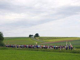 2014